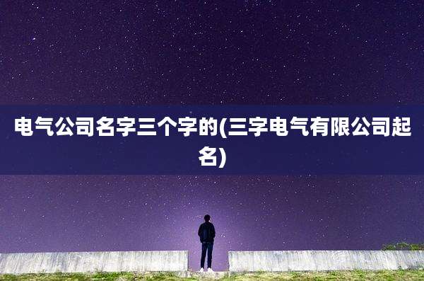 电气公司名字三个字的(三字电气有限公司起名)