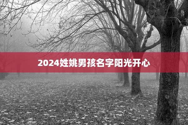 2024姓姚男孩名字阳光开心