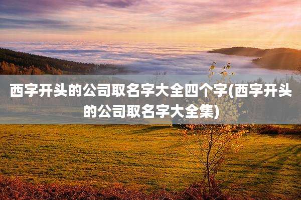 西字开头的公司取名字大全四个字(西字开头的公司取名字大全集)