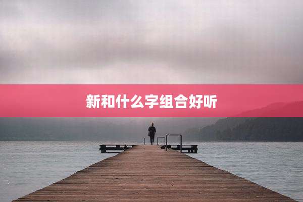新和什么字组合好听