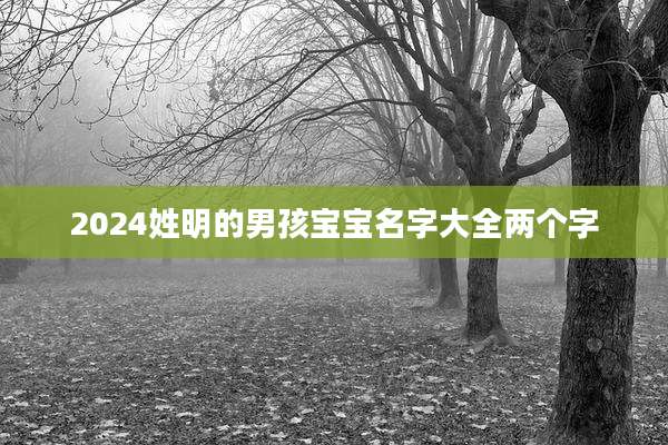 2024姓明的男孩宝宝名字大全两个字