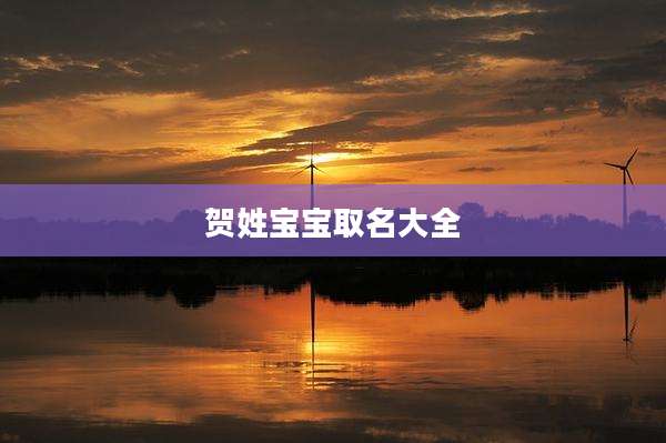 贺姓宝宝取名大全