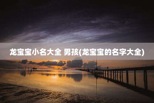 龙宝宝小名大全 男孩(龙宝宝的名字大全)