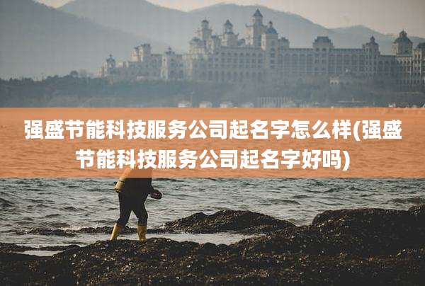 强盛节能科技服务公司起名字怎么样(强盛节能科技服务公司起名字好吗)