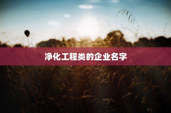 净化工程类的企业名字