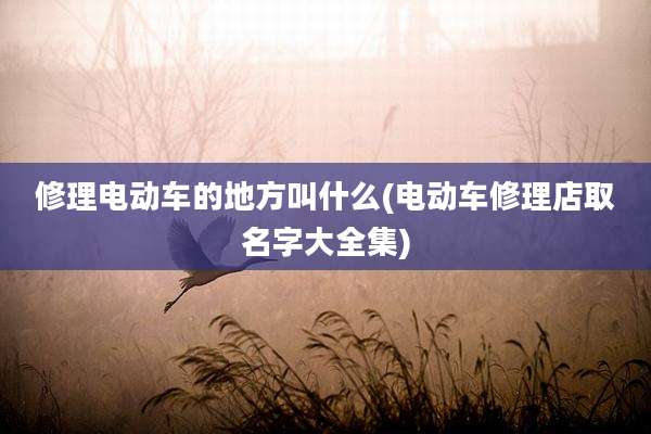 修理电动车的地方叫什么(电动车修理店取名字大全集)