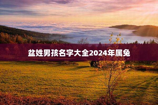 盆姓男孩名字大全2024年属兔