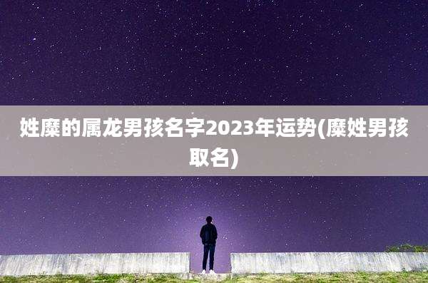 姓糜的属龙男孩名字2023年运势(糜姓男孩取名)