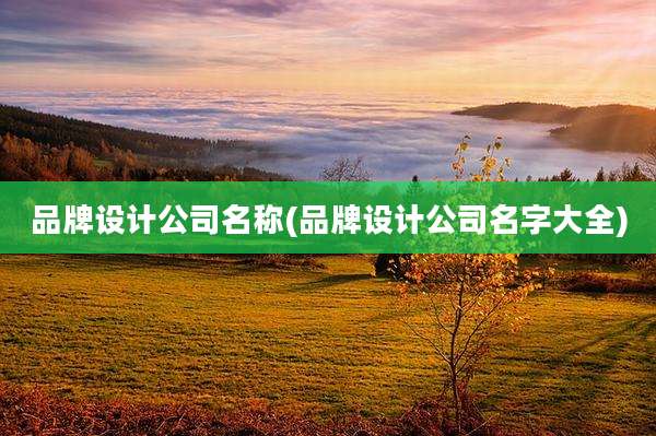品牌设计公司名称(品牌设计公司名字大全)