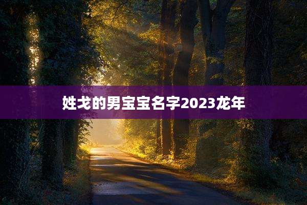 姓戈的男宝宝名字2023龙年