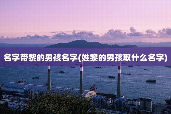 名字带黎的男孩名字(姓黎的男孩取什么名字)