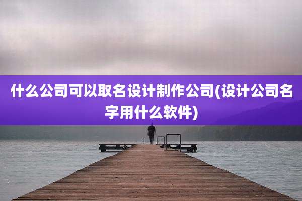 什么公司可以取名设计制作公司(设计公司名字用什么软件)