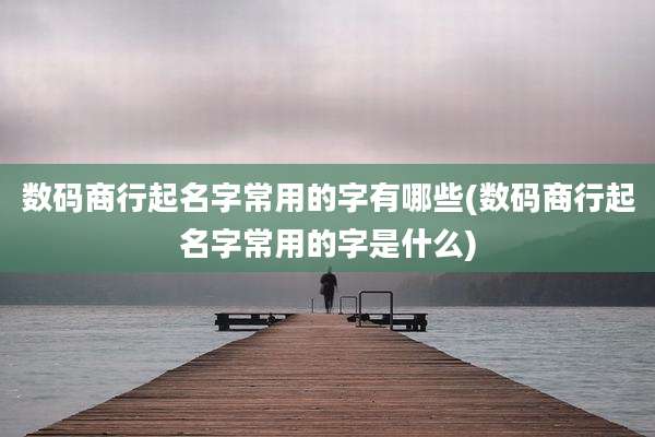 数码商行起名字常用的字有哪些(数码商行起名字常用的字是什么)