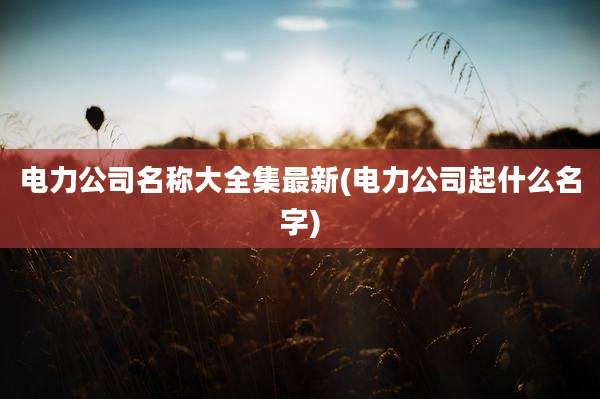 电力公司名称大全集最新(电力公司起什么名字)