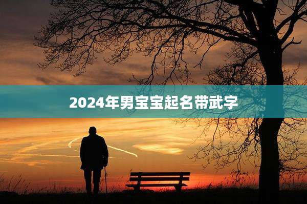 2024年男宝宝起名带武字