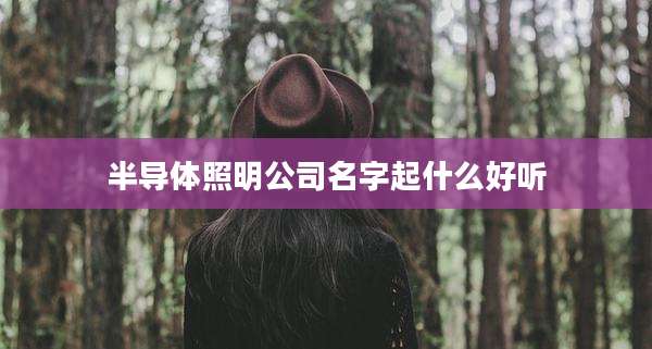 半导体照明公司名字起什么好听