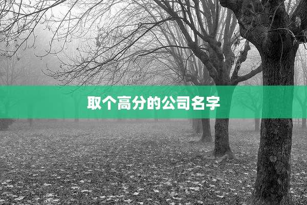 取个高分的公司名字