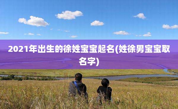 2021年出生的徐姓宝宝起名(姓徐男宝宝取名字)