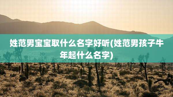 姓范男宝宝取什么名字好听(姓范男孩子牛年起什么名字)