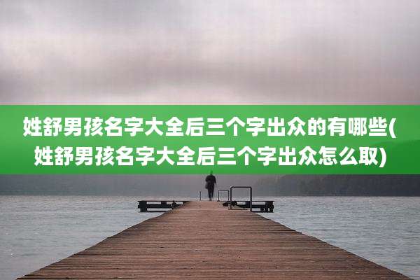 姓舒男孩名字大全后三个字出众的有哪些(姓舒男孩名字大全后三个字出众怎么取)