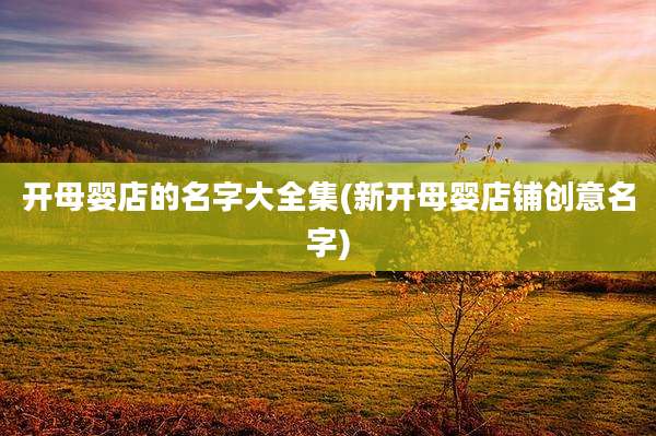 开母婴店的名字大全集(新开母婴店铺创意名字)