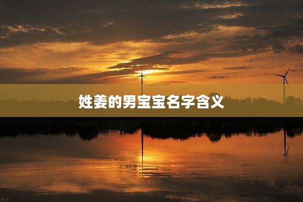 姓姜的男宝宝名字含义
