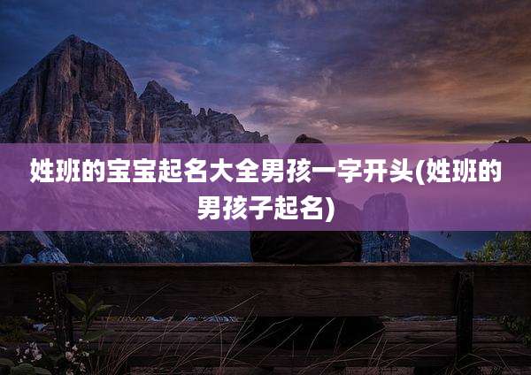 姓班的宝宝起名大全男孩一字开头(姓班的男孩子起名)
