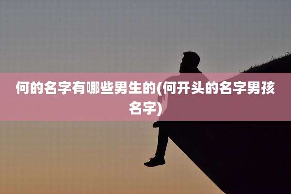 何的名字有哪些男生的(何开头的名字男孩名字)