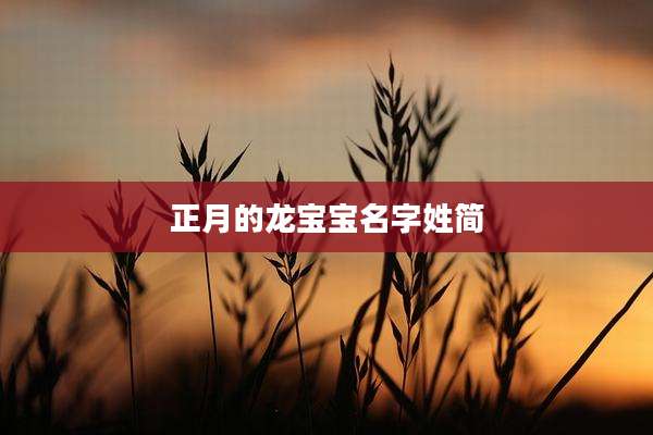 正月的龙宝宝名字姓简