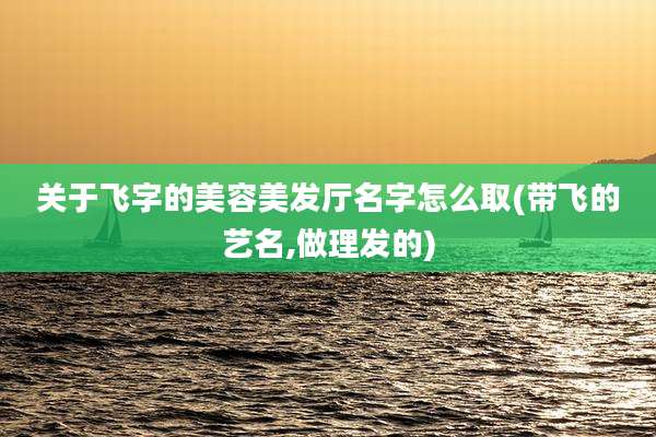 关于飞字的美容美发厅名字怎么取(带飞的艺名,做理发的)