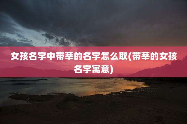 女孩名字中带莘的名字怎么取(带莘的女孩名字寓意)