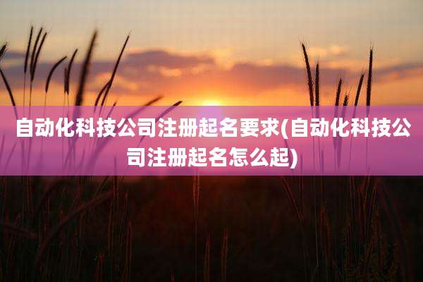 自动化科技公司注册起名要求(自动化科技公司注册起名怎么起)