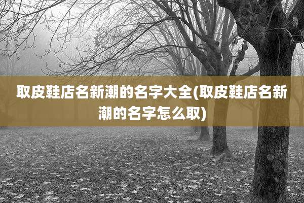 取皮鞋店名新潮的名字大全(取皮鞋店名新潮的名字怎么取)