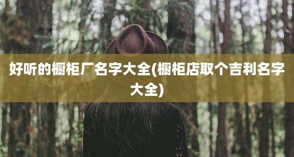 好听的橱柜厂名字大全(橱柜店取个吉利名字大全)