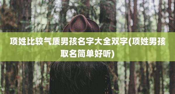 项姓比较气质男孩名字大全双字(项姓男孩取名简单好听)