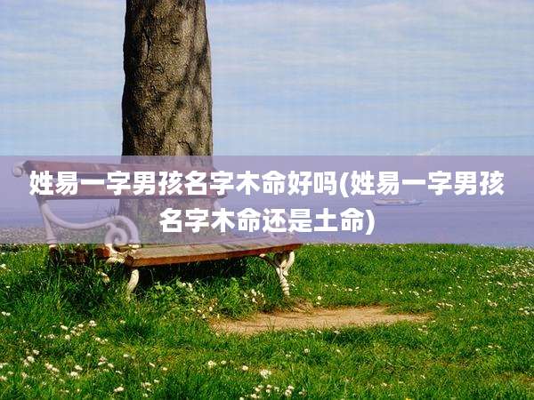 姓易一字男孩名字木命好吗(姓易一字男孩名字木命还是土命)