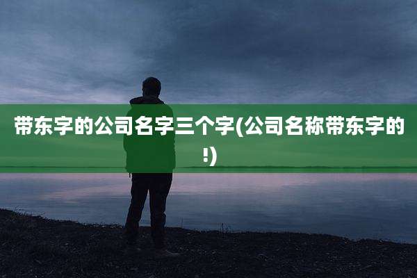 带东字的公司名字三个字(公司名称带东字的!)