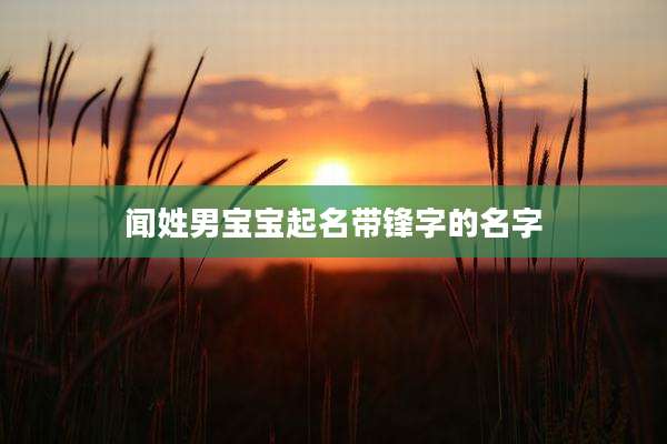 闻姓男宝宝起名带锋字的名字