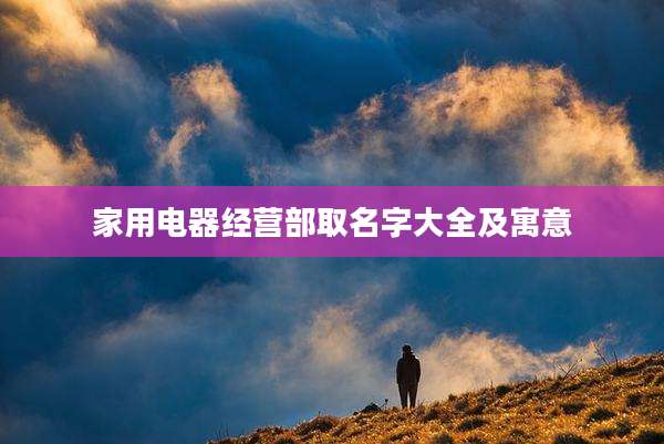 家用电器经营部取名字大全及寓意