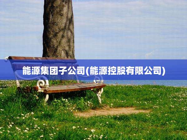 能源集团子公司(能源控股有限公司)