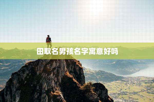 田取名男孩名字寓意好吗