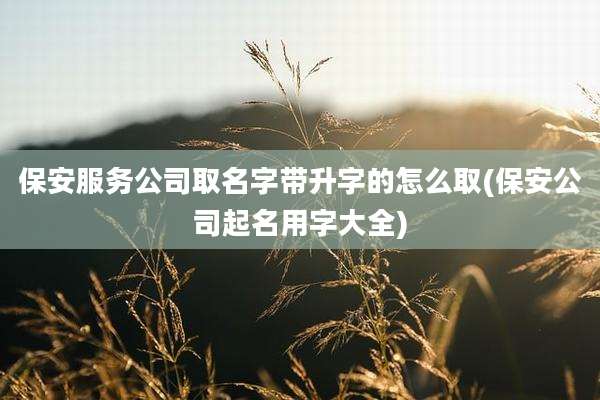 保安服务公司取名字带升字的怎么取(保安公司起名用字大全)