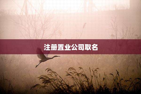 注册置业公司取名