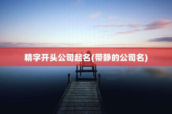 精字开头公司起名(带静的公司名)