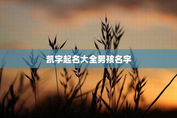 凯字起名大全男孩名字