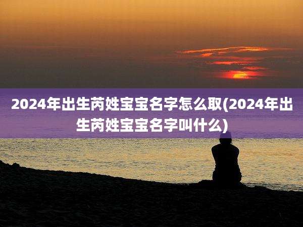 2024年出生芮姓宝宝名字怎么取(2024年出生芮姓宝宝名字叫什么)