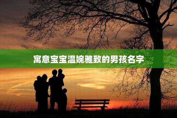 寓意宝宝温婉雅致的男孩名字