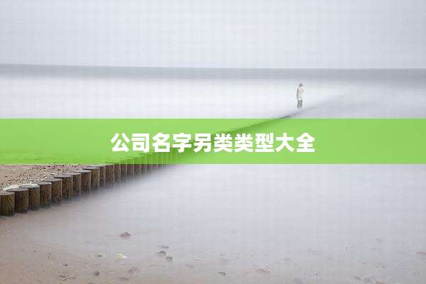 公司名字另类类型大全
