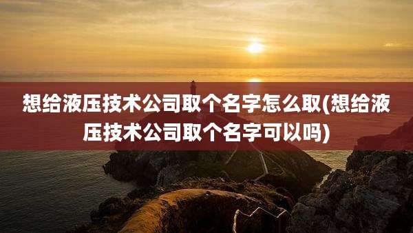 想给液压技术公司取个名字怎么取(想给液压技术公司取个名字可以吗)
