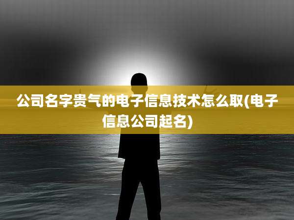 公司名字贵气的电子信息技术怎么取(电子信息公司起名)